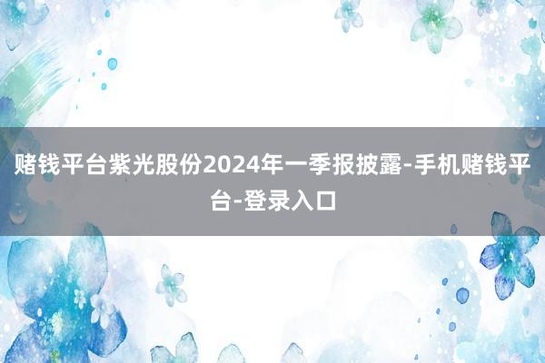 赌钱平台紫光股份2024年一季报披露-手机赌钱平台-登录入口