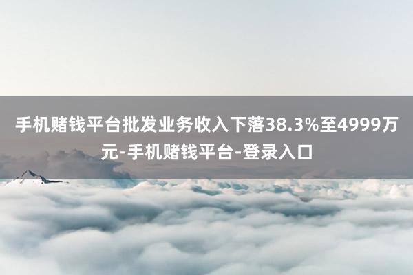 手机赌钱平台批发业务收入下落38.3%至4999万元-手机赌钱平台-登录入口