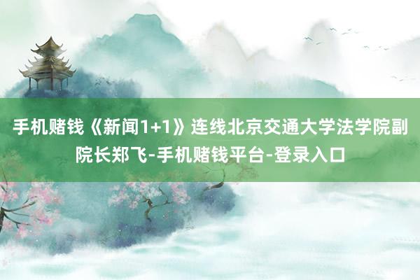 手机赌钱《新闻1+1》连线北京交通大学法学院副院长郑飞-手机赌钱平台-登录入口