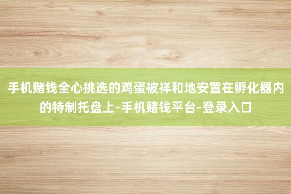 手机赌钱全心挑选的鸡蛋被祥和地安置在孵化器内的特制托盘上-手机赌钱平台-登录入口