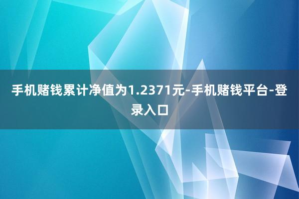 手机赌钱累计净值为1.2371元-手机赌钱平台-登录入口