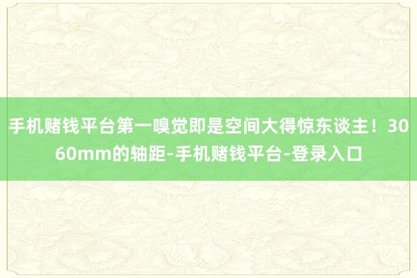 手机赌钱平台第一嗅觉即是空间大得惊东谈主！3060mm的轴距-手机赌钱平台-登录入口